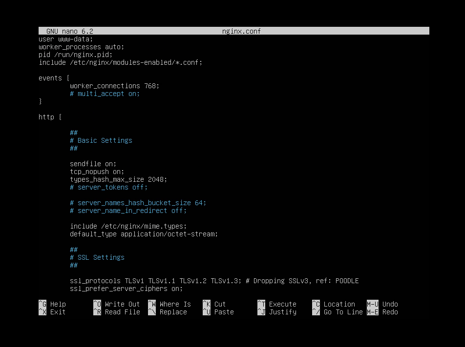 nginx.conf in nano 1