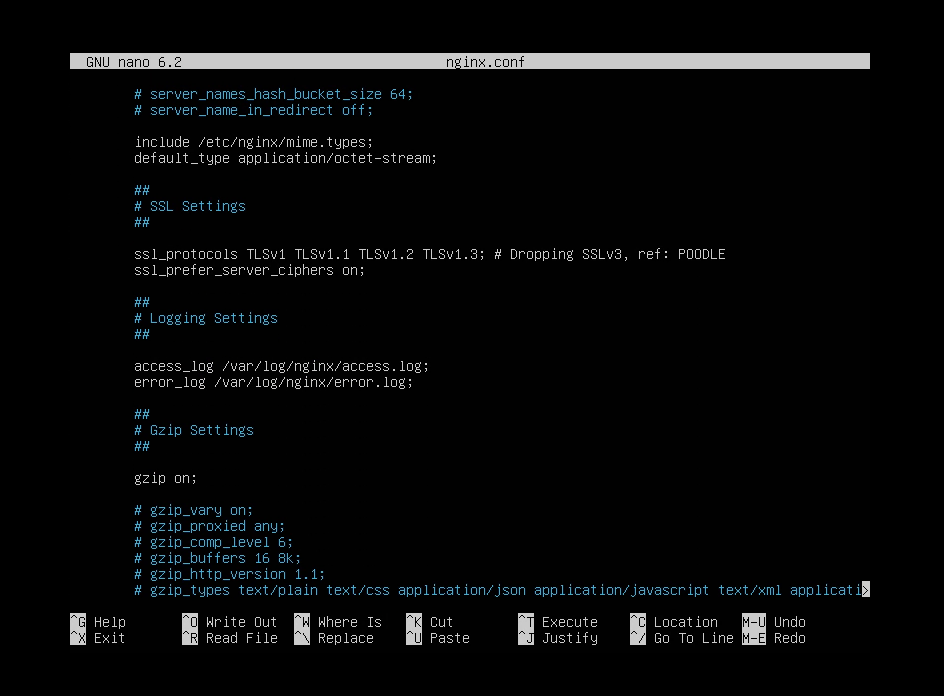 nginx.conf in nano 2