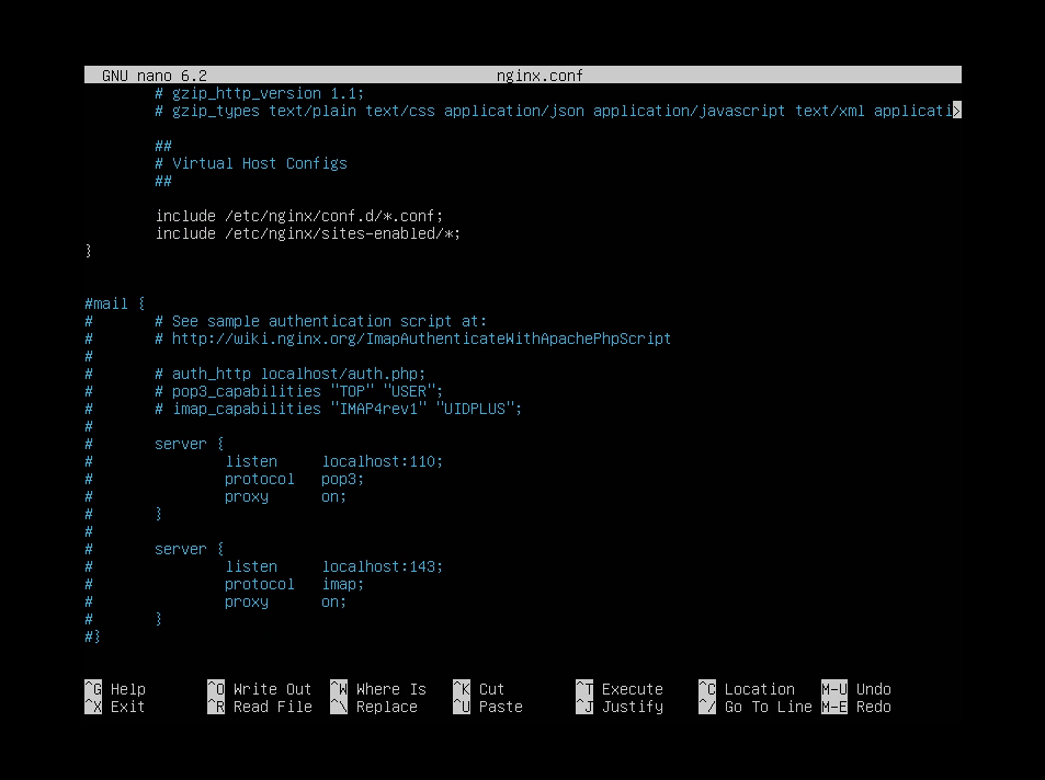 nginx.conf in nano 3